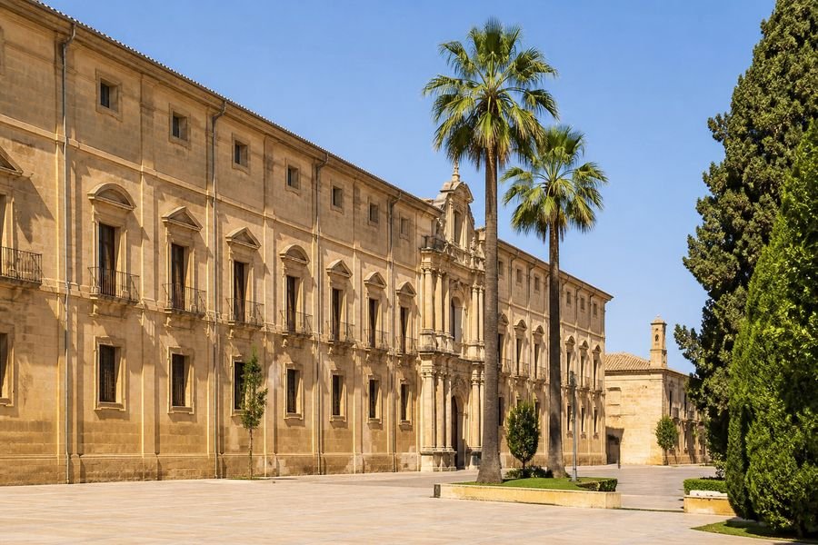 Universidad en España